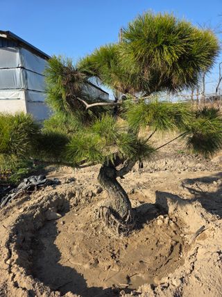 작은소나무님의 자유주제 · 사진전 작성글 사진