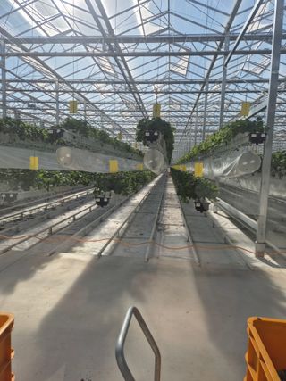 병풍취산채농원님의 자유주제 · 자유게시판 작성글 사진