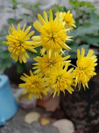 정보센터님의 자유주제 · 자유게시판 작성글 사진