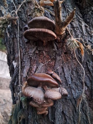 구강회님의 자유주제 · 자유게시판 작성글 사진