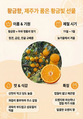 제주부자팜님의 작성글 사진