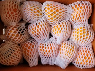 독고다이님의 작성글 사진