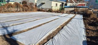 박산하님의 자유주제 · 자유게시판 작성글 사진