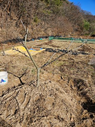 김용석님의 자유주제 · 자유게시판 작성글 사진