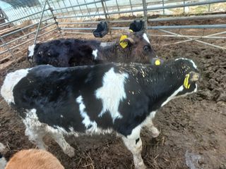 이정민님의 자유주제 · 자유게시판 작성글 사진