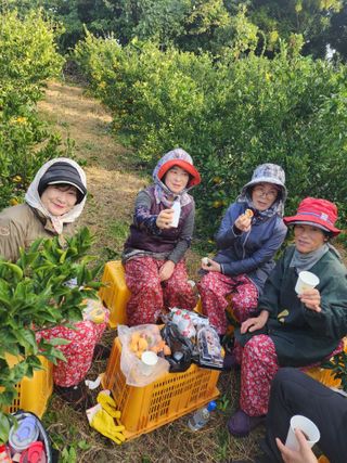 제주부자팜님의 작성글 사진