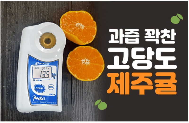 스피드번님의 장터 판매 상품 [(가정용) 노지 감귤 ] 첨부 사진