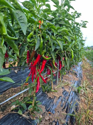 이정민님의 자유주제 · 자유게시판 작성글 사진