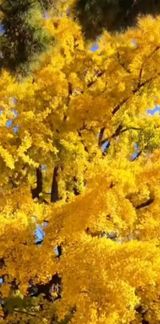 팜모닝 자유주제·자유게시판 게시글 이미지