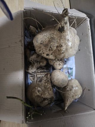 김석중님의 작성글 사진