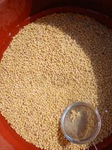 팜모닝 자유주제·자유게시판 게시글 이미지