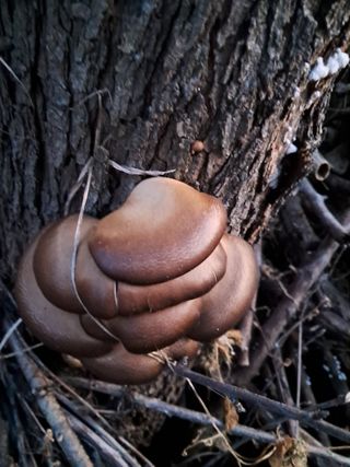 구강회님의 자유주제 · 자유게시판 작성글 사진