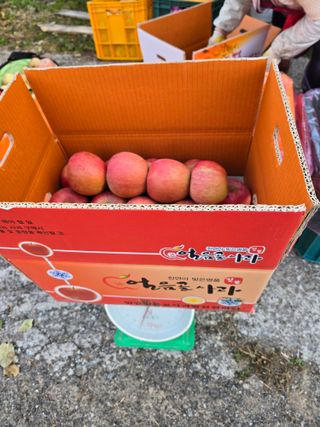 최동구님의 자유주제 · 자유게시판 작성글 사진