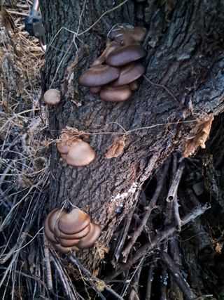 구강회님의 자유주제 · 자유게시판 작성글 사진