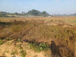 박영수부안님의 작성글 사진