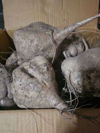 김석중님의 작성글 사진