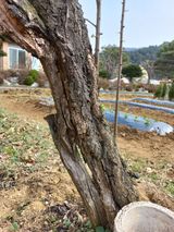 팜모닝 자유주제·자유게시판 게시글 이미지