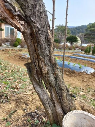 김재호님의 자유주제 · 자유게시판 작성글 사진
