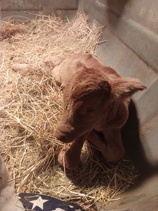 이정민님의 자유주제 · 자유게시판 작성글 사진