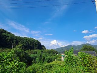 울금박사/빈덕열목사님의 작성글 사진