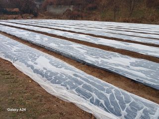 고양농장님의 자유주제 · 자유게시판 작성글 사진