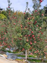 팜모닝 자유주제·자유게시판 게시글 이미지