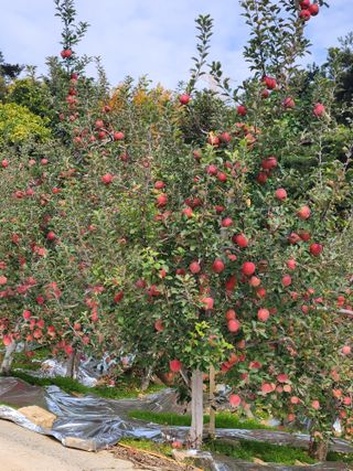 유승환님의 자유주제 · 자유게시판 작성글 사진