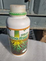 팜모닝 자유주제·자유게시판 게시글 이미지