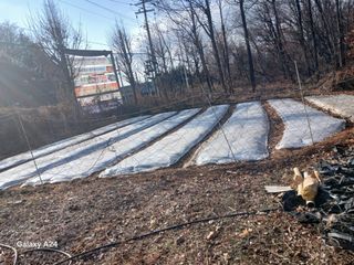 고양농장님의 자유주제 · 자유게시판 작성글 사진