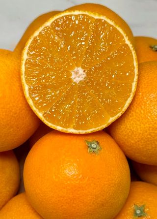 농부손녀님의 작성글 사진