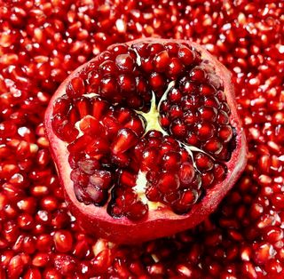 농부손녀님의 작성글 사진