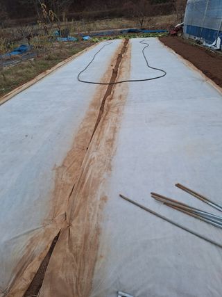 김용환님의 자유주제 · 자유게시판 작성글 사진