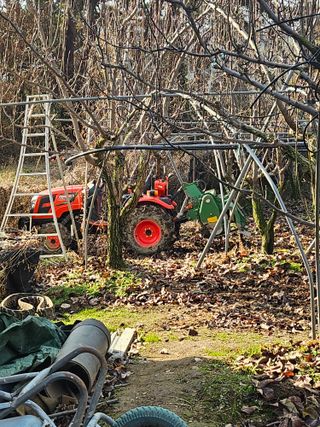 조영민님의 자유주제 · 자유게시판 작성글 사진