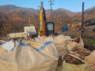 이호성님의 두릅 · 품종•종자 작성글 사진