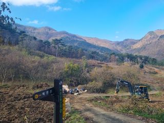 이호성님의 두릅 · 품종•종자 작성글 사진