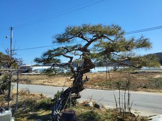 정수광님의 자유주제 · 자유게시판 작성글 사진