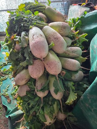 退役軍人 劉永喆님의 자유주제 · 자유게시판 작성글 사진