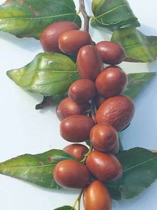 정석도님의 자유주제 · 자유게시판 작성글 사진