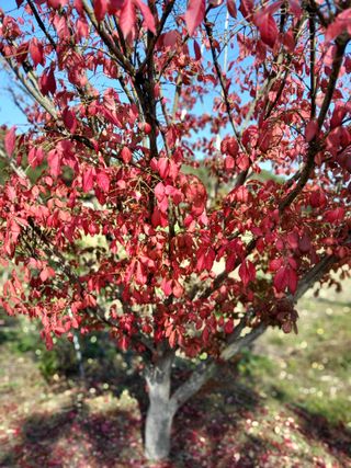 정수광님의 자유주제 · 자유게시판 작성글 사진