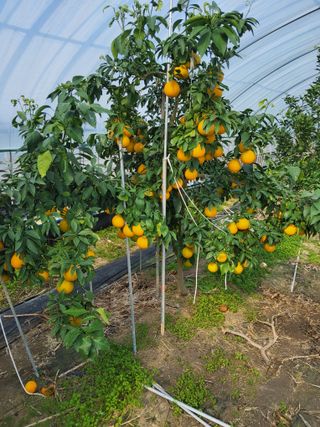 손기백님의 자유주제 · 사진전 작성글 사진