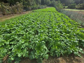 退役軍人 劉永喆님의 자유주제 · 자유게시판 작성글 사진