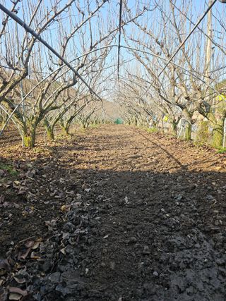 조영민님의 자유주제 · 자유게시판 작성글 사진