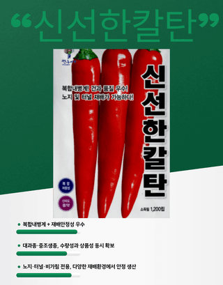 대산농사대장님의 고추·품종•종자 작성글 사진