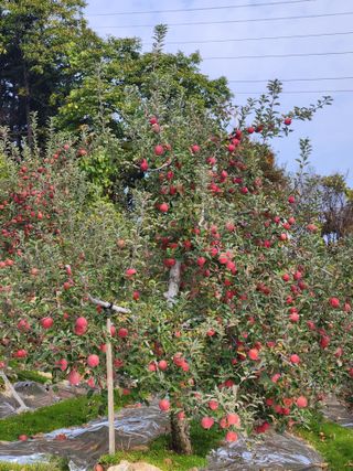 유승환님의 자유주제 · 자유게시판 작성글 사진