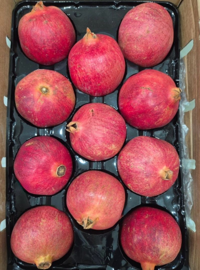 농부손녀님의 장터 판매 상품 [최상급 여왕석류 생과 1kg 2kg 4kg ] 첨부 사진