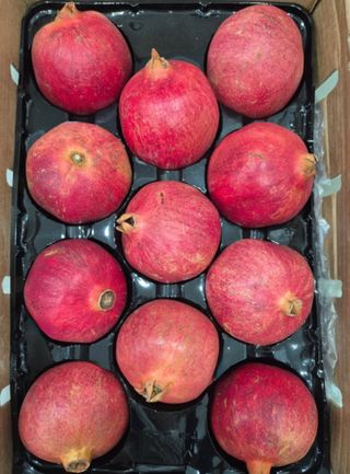 농부손녀님의 작성글 사진