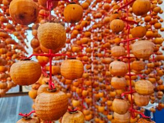 백용기님의 자유주제 · 자유게시판 작성글 사진