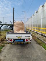 팜모닝 · 게시글 이미지