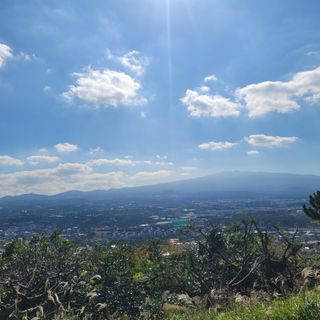 서귀포달코롬감귤농원님의 자유주제 · 사진전 작성글 사진