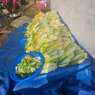 이주환님의 자유주제 · 자유게시판 작성글 사진